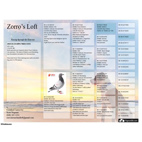 25 ARPU 78652 Cock Best of Vercammen!