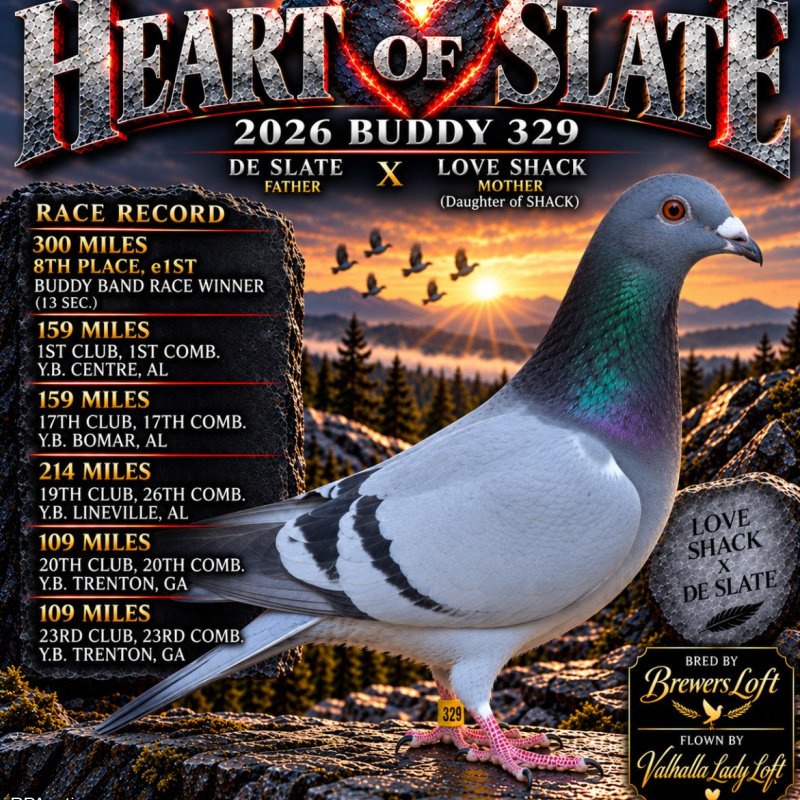 300 MILE BUDDY BAND RACE - 8TH PLACE WINNER