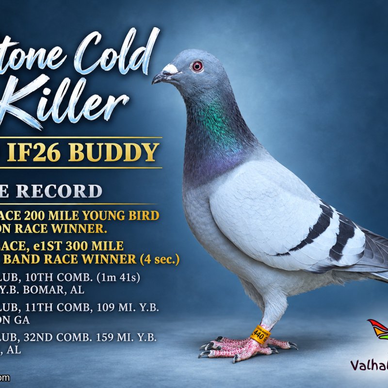 300 MILE BUDDY BAND RACE - 3RD PLACE WINNER