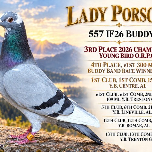 300 MILE BUDDY BAND RACE - 4TH PLACE WINNER