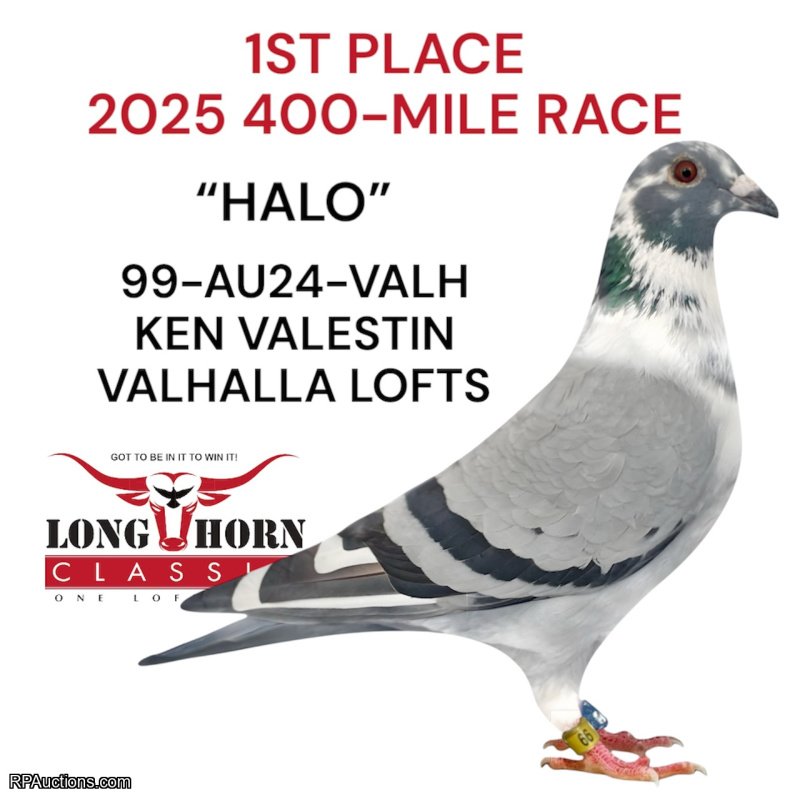 300 MILE BUDDY BAND RACE - 9TH PLACE WINNER