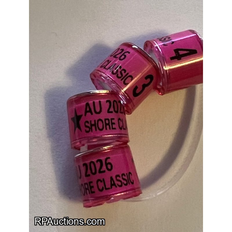 DEL-MAR RPC SHORE CLASSIC 300 MILE YB BAND RACE!!