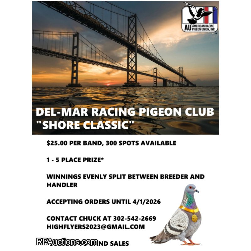 DEL-MAR RPC SHORE CLASSIC 300 MILE YB BAND RACE!!