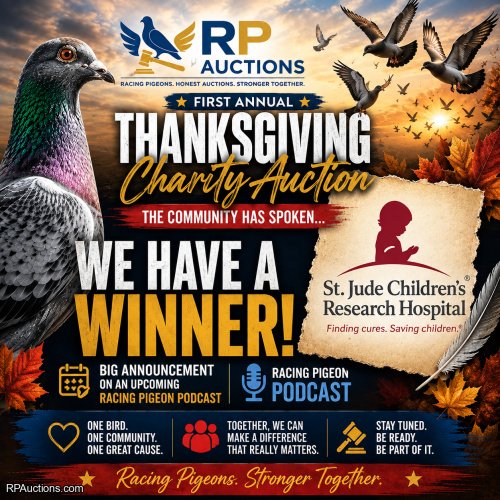 Coming over Thanksgiving week...calling breeders now!