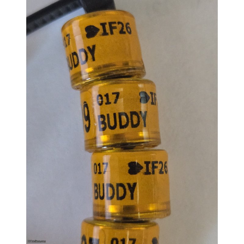 300 MILE BUDDY BAND RACE