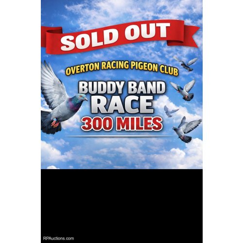 300 MILE BUDDY BAND RACE
